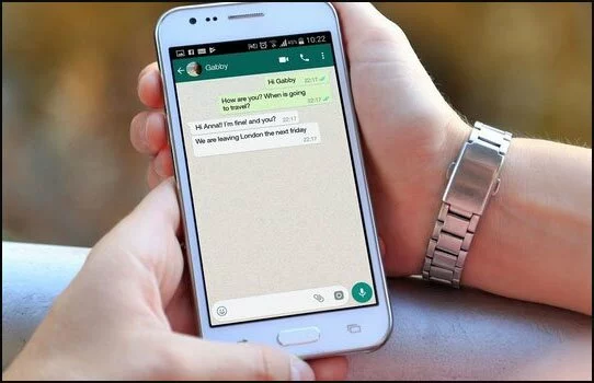 whatsapp survey